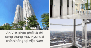 Phân phối thang máy